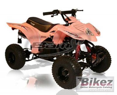 2010 BamX BX50-S Side Kick photo